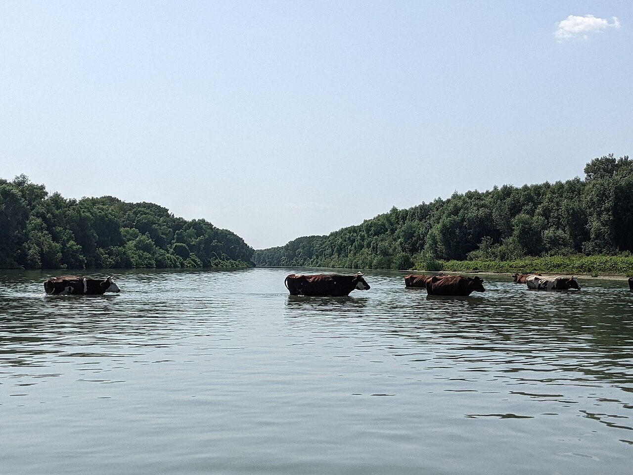 Geschichte des Donaudeltas