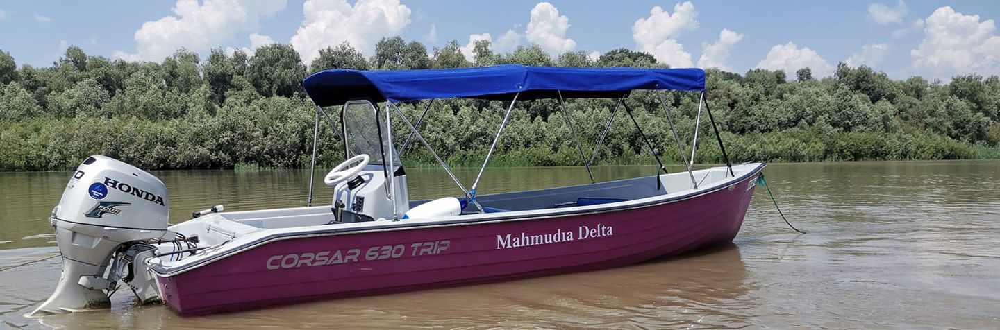 Über Mahmudia Delta