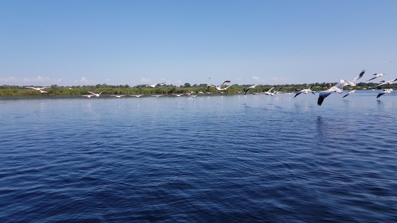 Wann Sie das Donaudelta und Mahmudia besuchen sollten